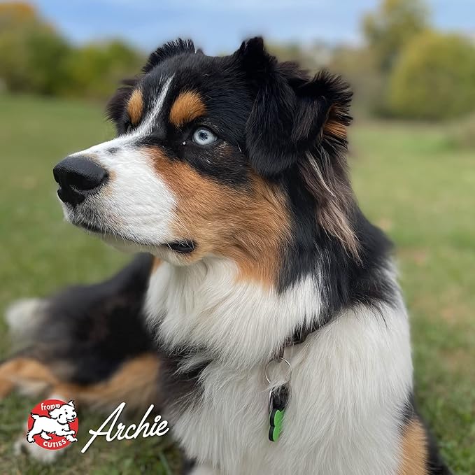 Fromm Four-Star Nutritionals Chicken with Peas & Carrots Dog Treats - Premium Oven Baked Dog Snacks - Chicken Recipe - Pack of (3) 8 oz Bags