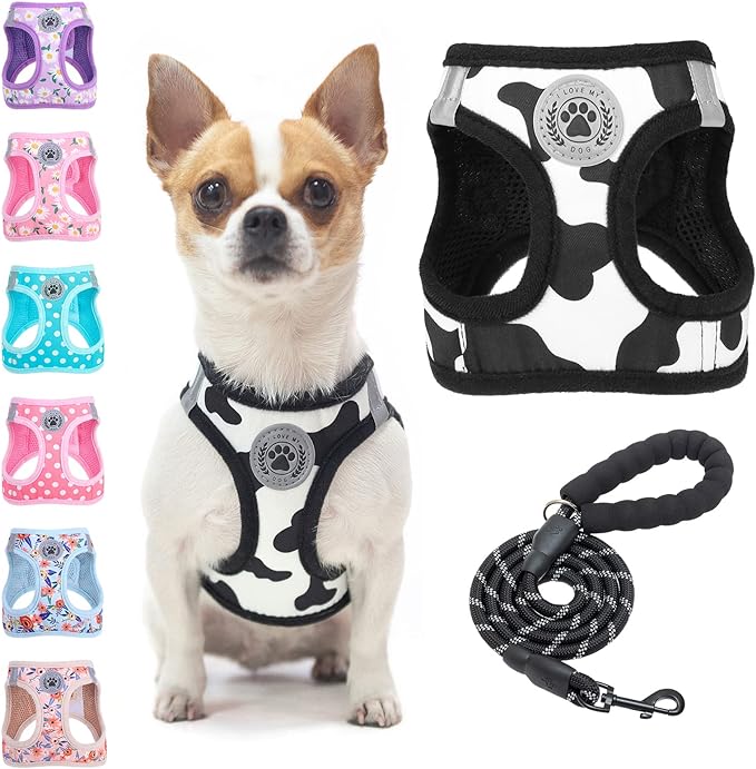 BEAUTYZOO Step in Dog Harness and Leash Set, Floral Pattern Reflective Dog Harness No Pull No Choke Puppy Harness for XXS XS S Dogs Cats, Soft Padded Mesh Vest Harnesses for Girl and Boy Pets