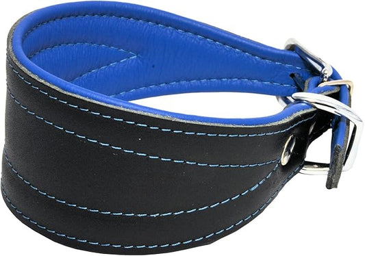 Real Leather Extra Wide Padded Tapered Dog Collar Glossy Black Greyhound Saluki Deerhound Lurcher Whippet Dachshund (10"-11.25" Neck; 2" Wide, Blue)