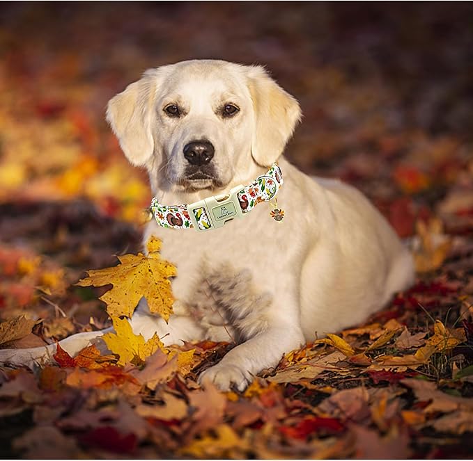 Lionheart glory Turkey Dog Collar, Thanksgining Day Dogs Collar Adjustable Soft Comfortable Collars for Medium Dogs Girl or Boy Pet Gift Fall Cute Collar Quick Release Plastic Buckle