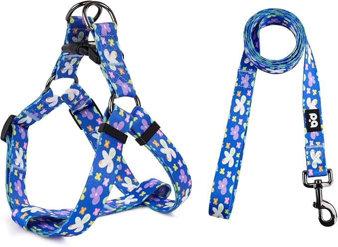 QQPETS Dog Harness Leash Set Adjustable Heavy Duty No Pull Halter Harnesses for Small Medium Large Breed Dogs Back Clip Anti-Twist Perfect for Walking