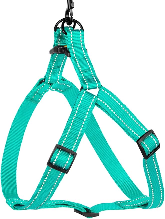 CollarDirect Reflective Dog Harness Step in Small Medium Large for Outdoor Walking, Comfort Adjustable Harnesses for Dogs Puppy Pink Black Red Purple Mint Green Orange Blue (Small, Mint Green)