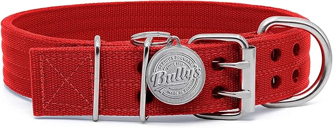 Pit Bull Collar, Dog Collar for Large Dogs, Heavy Duty Nylon, Stainless Steel Hardware (XL, Fire Engine Red)