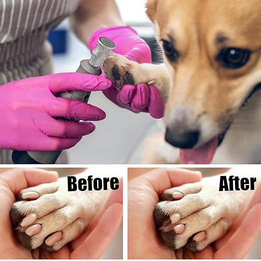 Diamond Dog Nail Grinder Bits - FOCSTOL Diamond Rotory Bit for Dogs&Pets, 5pcs 1/8'' Rotary Nail Grinder Bits for Animals Nail Care (Type C)