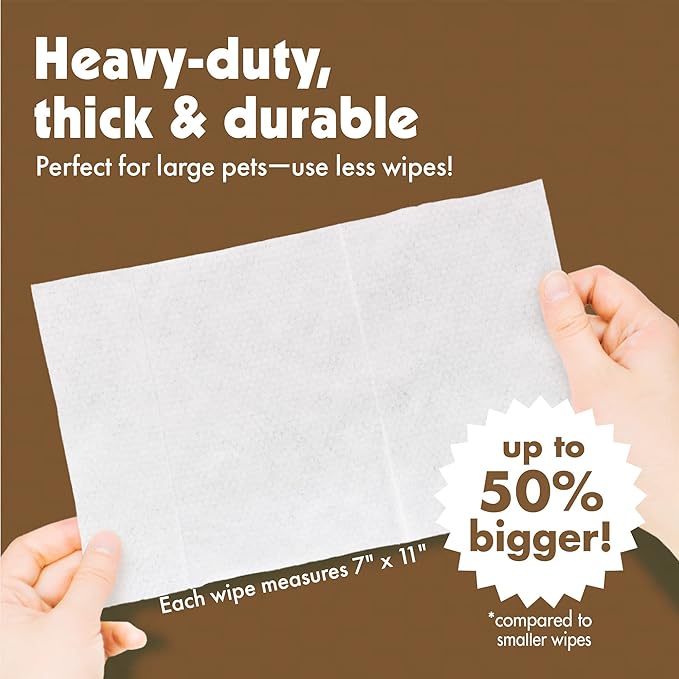 Petkin Pet Wipes for Dogs and Cats, Oatmeal, 100 Wipes (Large) for Dogs and Cats - Soothes Itchy Dry Skin and Cleans Ears, Face, Butt, Body and Eye Area - Idea for Home and Travel