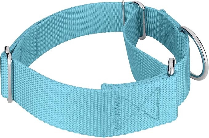 Country Brook Petz 1 1/2 Inch Martingale Heavy Duty Nylon Adjustable Dog Collar for Small, Medium, Large Breeds - Vibrant 17 Color Selection (Ocean Blue, Large)