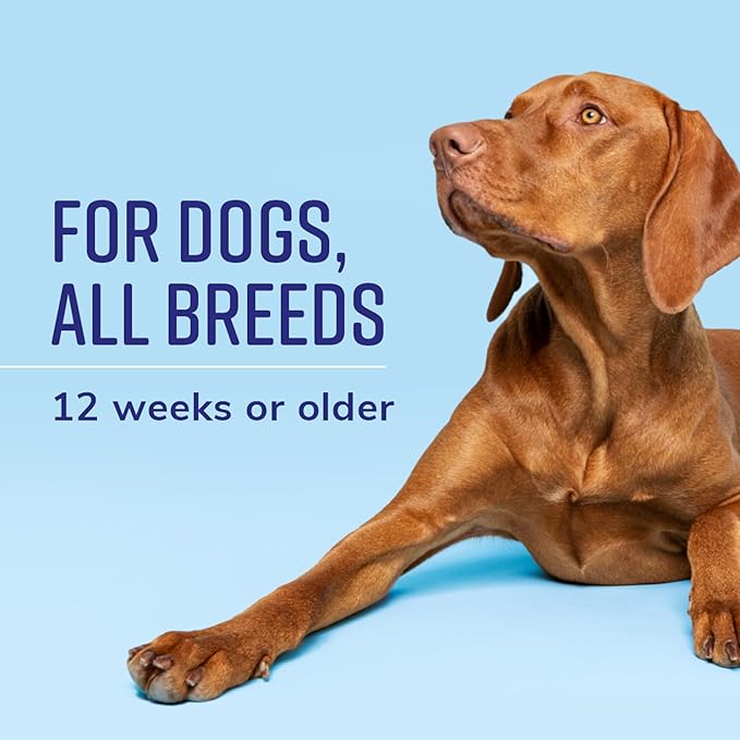 Naturel Promise Fresh & Soothing Lavish 4-in-1 Shampoo + Conditioner for Pets, 22oz (Pack of 3)