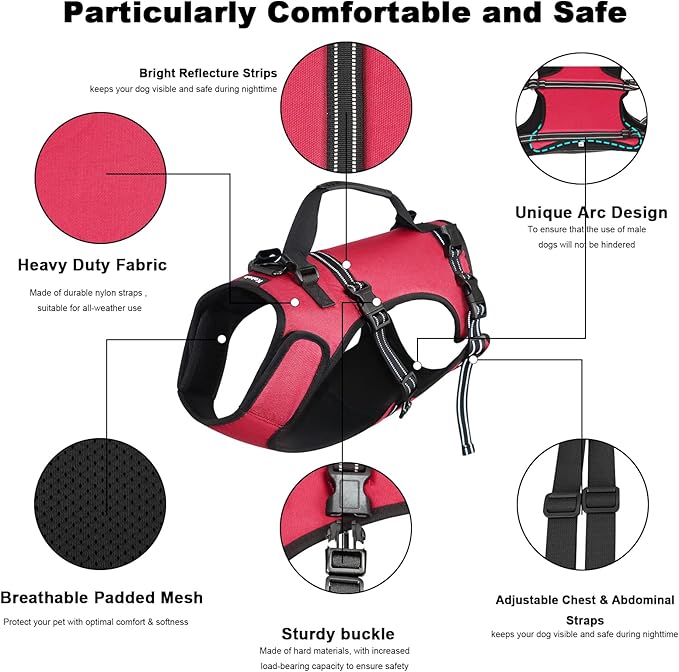 Dog Lift Harness, Full Body Support & Recovery Sling, Pet Rehabilitation Lifts Vest Adjustable Breathable Straps for Old, Disabled, Joint Injuries, Arthritis, Paralysis Dogs Walk (Red, XL)