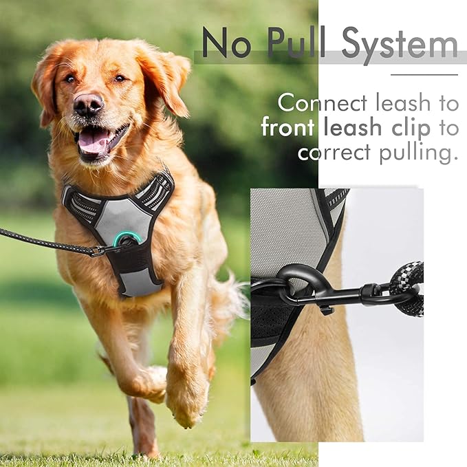 rabbitgoo Dog Harness, No-Pull Pet Harness with 2 Leash Clips, Adjustable Soft Padded Dog Vest, Reflective No-Choke Pet Oxford Vest with Easy Control Handle for Large Dogs, Grey, L