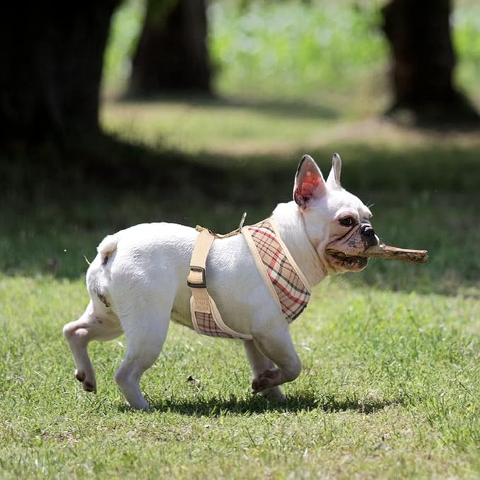 PUPTECK Soft Mesh Dog Harness and Leash Set Pet Puppy Cat Comfort Padded Vest No Pull Harnesses, Khaki, S