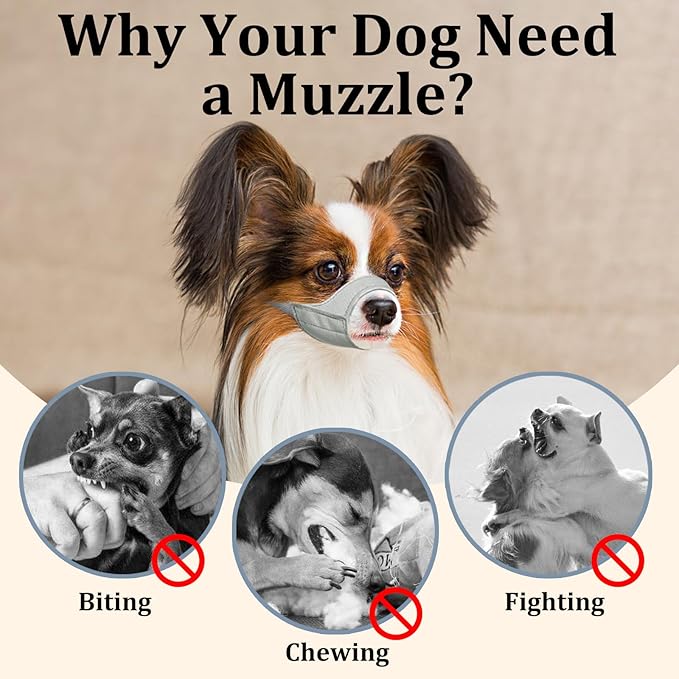Mayerzon Short Snout Dog Muzzle, Small Muzzle for Chihuahua Shih Tzu American Bully Boxer Puppy, Soft Fabric Muzzles for Grooming Vet Visits