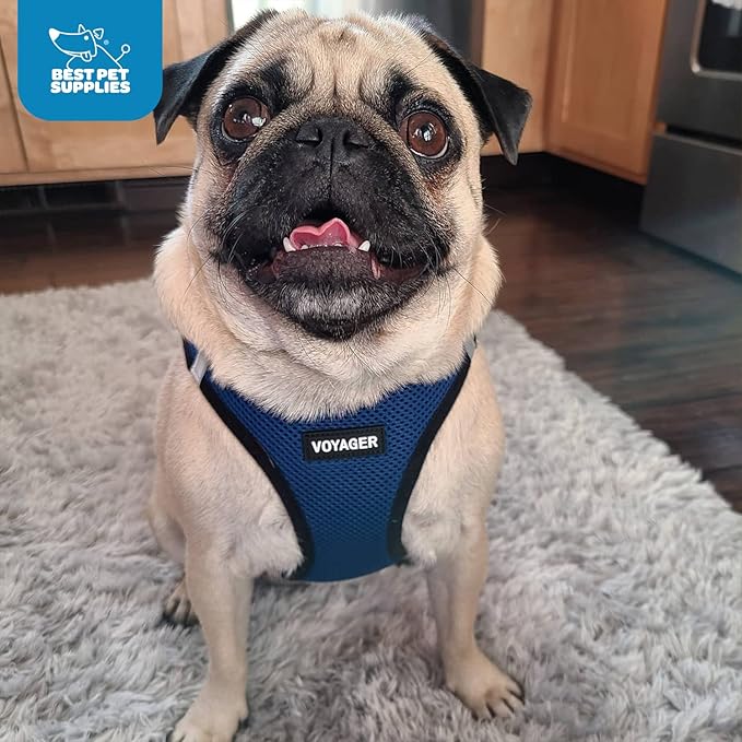 Voyager Step-in Air Dog Harness - All Weather Mesh, Reflective, No Pull Harness for Small, Medium Dogs, Cats - Secure with Hook & Loop Fastener, Buckle, Double D-Rings - Royal Blue/Black Trim, M