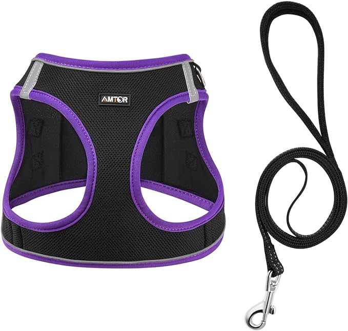 AMTOR Small Dog Harness with Leash Set, No Escape Easy Walk Puppy Harnesses for Training Walking, Step-in Reflective Soft Dogs Vest for XS S Medium Extra-Small Large Sized Dog(Black/Purple)