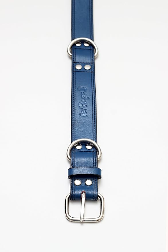 Premium Leather Collars with Stainless Steel Buckles (21"-24", Blue)