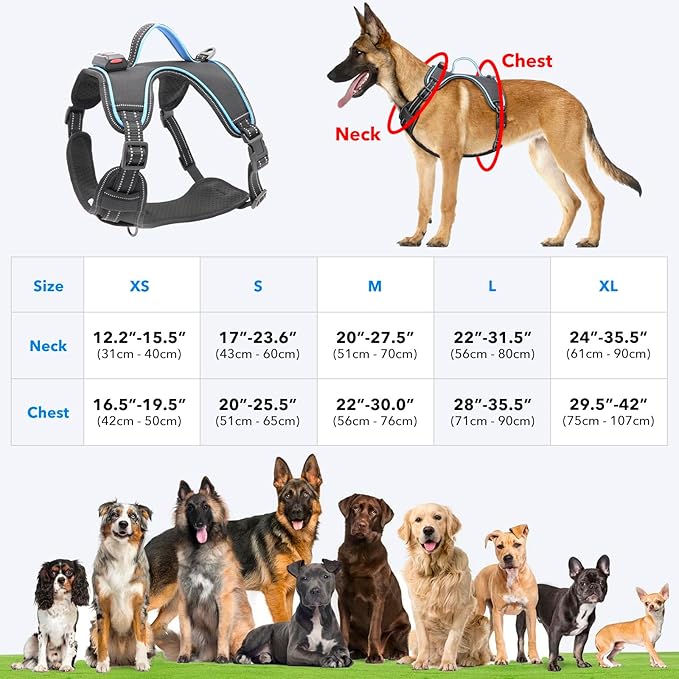 LED Light Dog Harness, X-Large, Black-Blue, No-Pull, Rechargeable, for Large Dogs