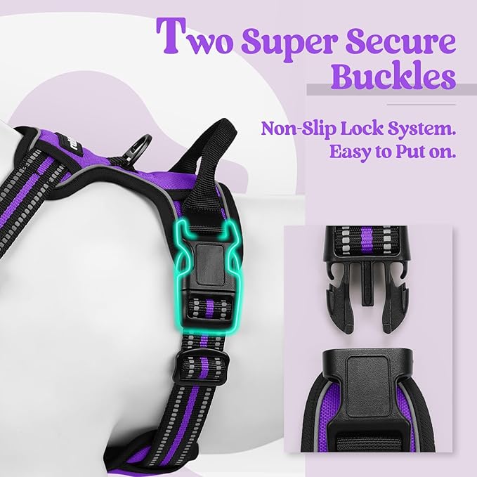 rabbitgoo Dog Harness, No-Pull Pet Harness with 2 Leash Clips, Adjustable Soft Padded Dog Vest, Reflective No-Choke Pet Oxford Vest with Easy Control Handle for Large Dogs, Purple, XL