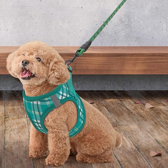 Athena Collection Small Dog Harness with 5 ft Leash, Step-in Dog Harness Leash Set Small No Pull Dog Vest Harness with Reflective Strips Adjustable Velcro, Easy Walk Puppy Harness, Green