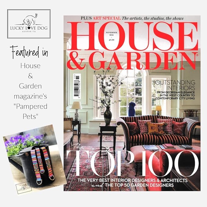 Lucky Love Dog, Evergreen No Slip Dog Collar, Vivid Berry Plaid Martingale Dog Collar for Boy and Girl Dogs - (Small, Heywood Martingale)