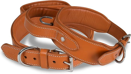 Leather Dog Collar with Handle, 2 Inch Wide Saddle Grade Brown Leather Dog Collar for Extra Large Dogs | Heavy Duty, Comfortable, Inner Soft Padded | (XL (Fit Neck Size 22"-26"), Light Brown)