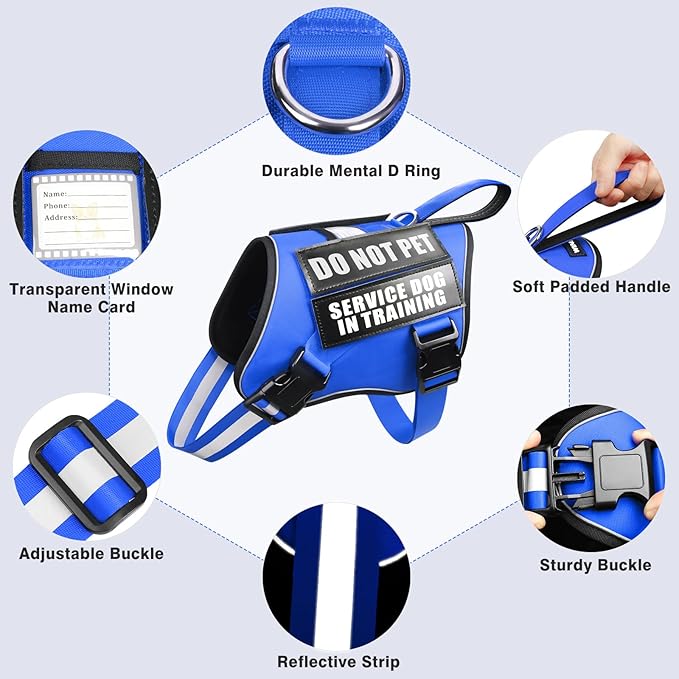 WINSEE Dog Harness & Leash Set, Small Blue, Emotional Support Therapy Vest with 10 Patches, Reflective, Adjustable, for Medium & Large Dogs