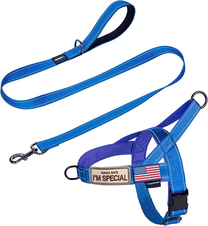 Annchwool No Pull Dog Harness with Padded Handle+5 Ft Leash,Reflective Strip Escape Proof and Quick Fit to Adjust Dog Harness,Easy for Training Walking for Small & Medium and Large Dog(Blue-Set,XL)