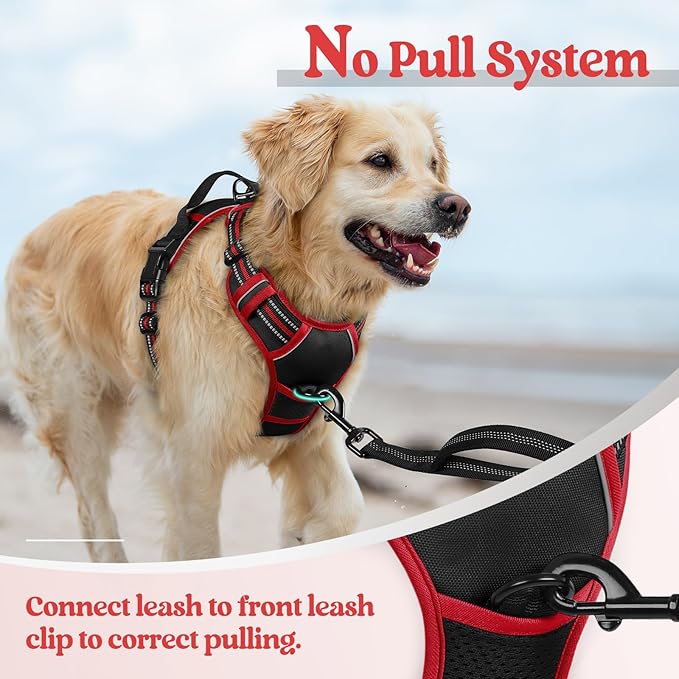 rabbitgoo Dog Harness, No-Pull Pet Harness with 2 Leash Clips, Adjustable Soft Padded Dog Vest, Reflective No-Choke Pet Oxford Vest with Easy Control Handle for Large Dogs, Black & Red, L
