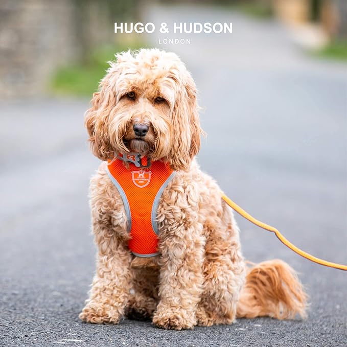 HUGO & HUDSON Dog Harness No-Pull Pet Harness Adjustable Quick Dry Mesh Padded Vest, Orange, XS