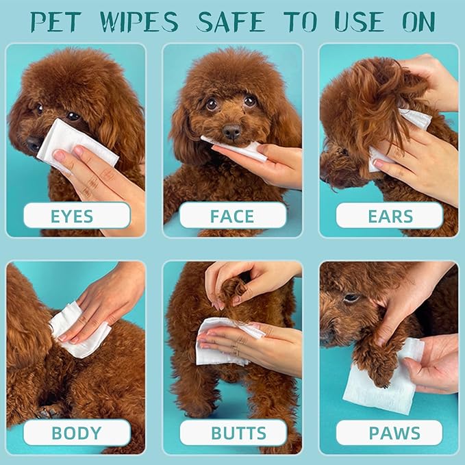 Pet Hypoallergenic Wipes, Extra Thick Cat Wipes for Cleaning Small Animal's Paws,Ears,Butt,Face and Eyes,Portable Organic Paw Wipes for Cats,Ideal for Home or Travel (320 Count (Pack of 4))