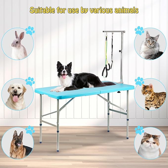 PKNYBZN 47'' Dog Grooming Table, Heavy Duty Pet Grooming Table for Dogs at Home Foldable Grooming Table/Adjustable Arm & Noose, Stainless Steel Professional Dog Show Blue