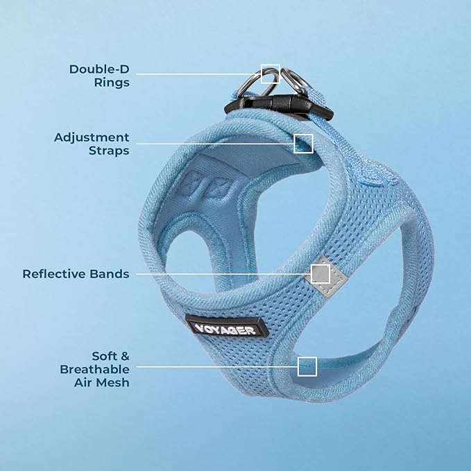 Voyager Step-In Air Dog Harness - All Weather Mesh, Reflective, No Pull Harness for Small, Medium Dogs, Cats - Secure with Hook & Loop Fastener, Buckle, Double D-Rings - Baby Blue, XXXS