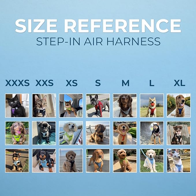 Voyager Step-In Air Dog Harness - All Weather Mesh, Reflective, No Pull Harness for Small, Medium Dogs, Cats - Secure with Hook & Loop Fastener, Buckle, Double D-Rings - Baby Blue, XXXS