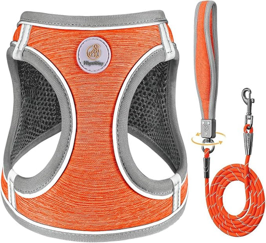 Dog Harness with Leash Set, Adjustable Soft Mesh Padded Reflective Dog Harnesse, Dog Leash with Soft Padded Handle, Puppy Harness and Leash Set for Walking,Training - Orange, XXS
