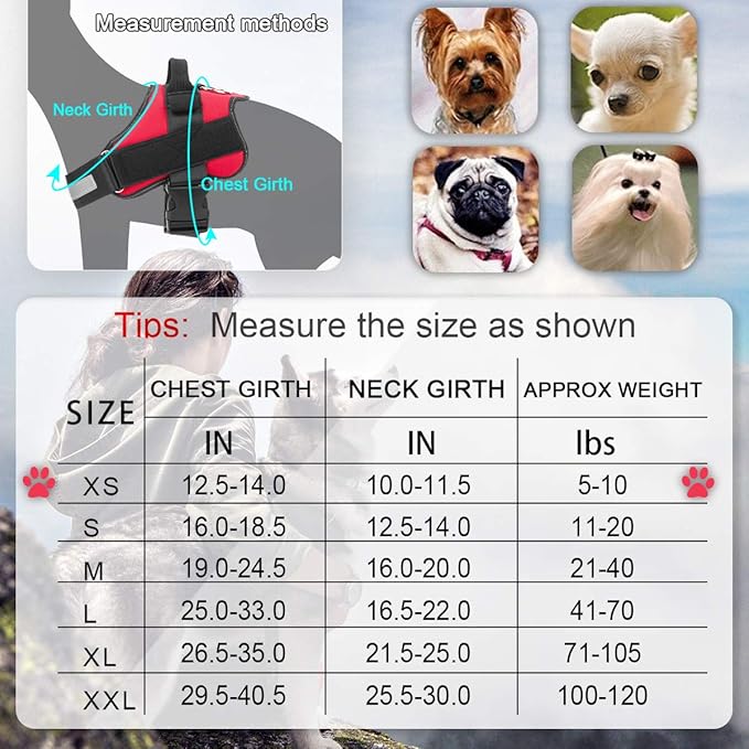 Bolux Dog Harness, No-Pull Reflective Dog Vest, Breathable Adjustable Pet Harness with Handle for Outdoor Walking - No More Pulling, Tugging or Choking (Red, XS)