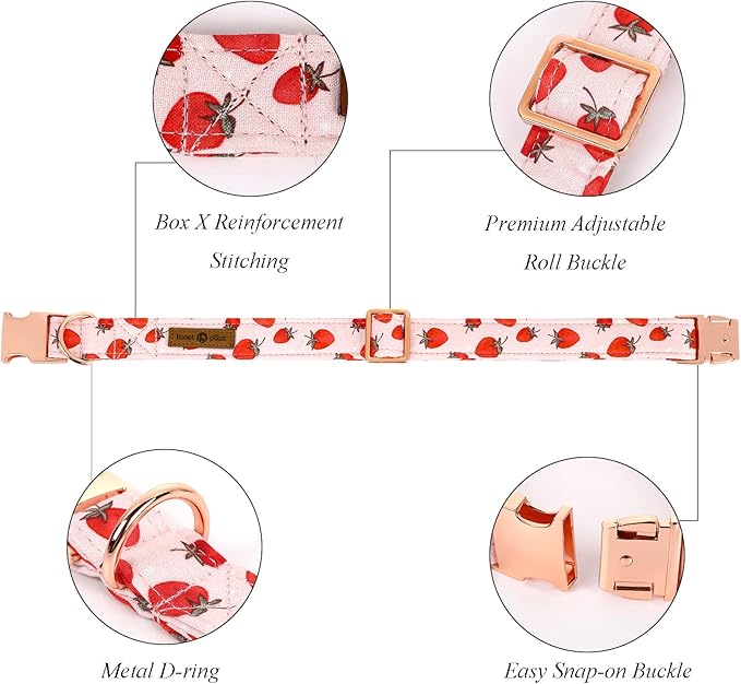 Lionet Paws Dog Collar, Comfortable Adjustable Cute Collar with Metal Buckle for Male Female Dogs Gift, Strawberry Pattern, XLarge, Neck 16-26 inches