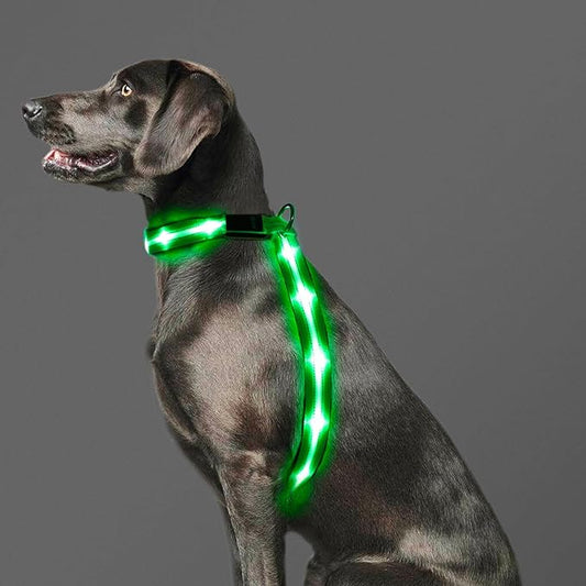 LED Light Up Dog Vest Harness Rechargeable, Soft Padded, Adjustable & Reflective Lighted Dog Harness Waterproof, Glow Dark Dog Light Harness for Camping Night Safety Walking, Medium Green