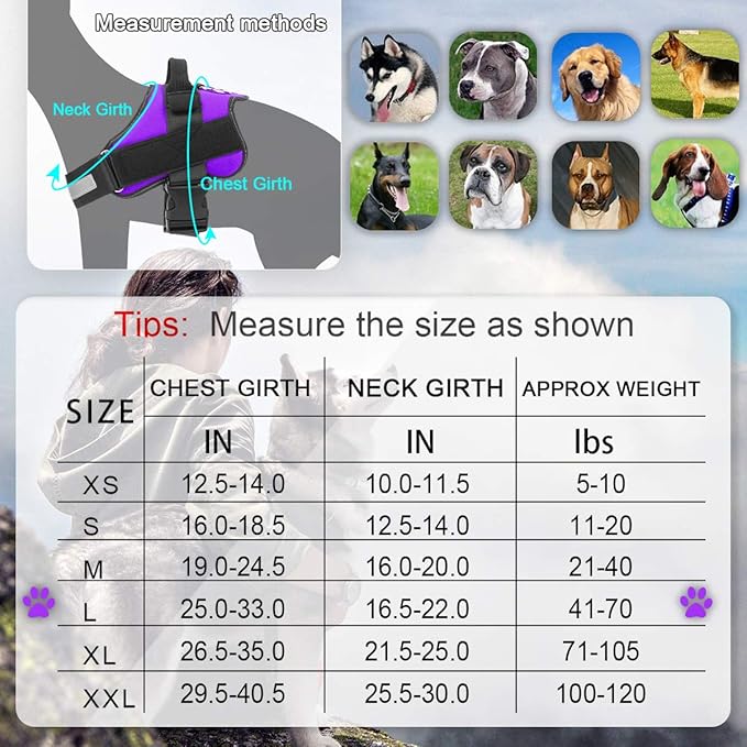 Bolux Dog Harness, No-Pull Reflective Dog Vest, Breathable Adjustable Pet Harness with Handle for Outdoor Walking - No More Pulling, Tugging or Choking (Purple, L)