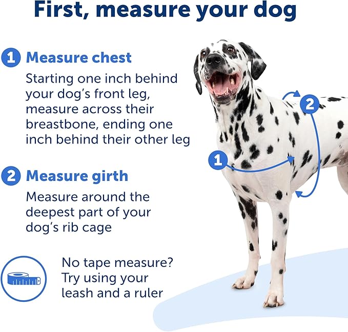 PetSafe Easy Walk Deluxe Dog Harness, No Pull Dog Harness – Perfect for Leash & Harness Training – Stops Pets from Pulling and Choking on Walks – Medium, Apple