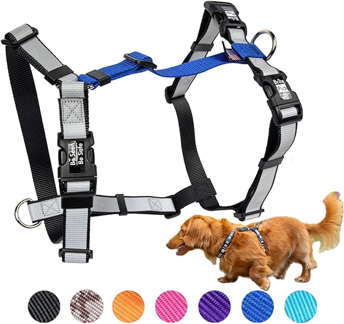 No Pull Harness with Fully Customizable Fitment for XS Dogs - 3M Reflective Heavy Duty Harness for Walking & Training - No Choke Comfortable Collar Design, Made in USA XS-Roy Blue