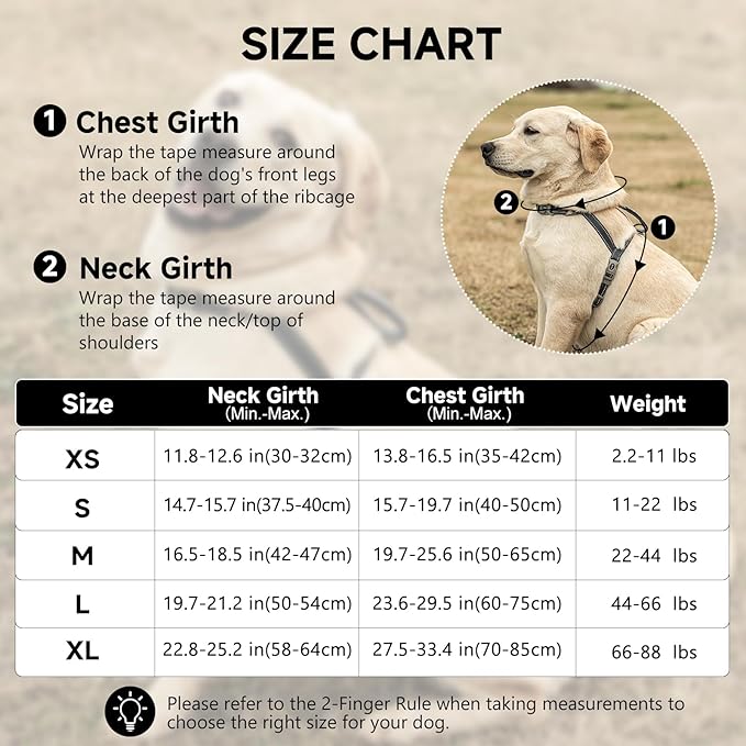 SATSUN Dog Harness & Leash Set, No Pull Dog Harness with 2 Adjustable Points & 1 Leash Clip, Reflective Comfortable Dog Vest with Easy Control Handle Ideal for Walking and Training, Black,L