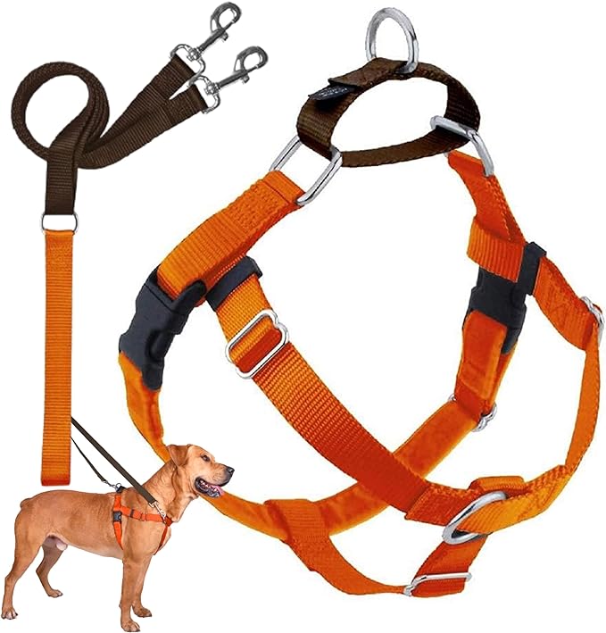 2 Hounds Design Freedom No Pull Dog Harness | Comfortable Control for Easy Walking |Adjustable Dog Harness and Leash Set | Small, Medium & Large Dogs | Made in USA | Solid Colors | 1" XXL Rust