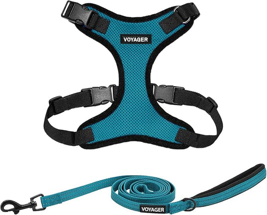 Voyager Step-in Lock Dog Harness w Reflective Dog Leash Combo Set with Neoprene Handle 5ft - Supports Small, Medium and Large Breed Puppies/Cats by Best Pet Supplies - Turquoise/Black Trim, M
