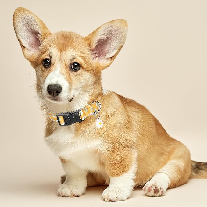 BiPawTi Floral Dog Collars for Large Dog - Soft Cute Dog Collars for Girls Dog Pretty Flower Collar with Daisies Charms, Gift for Female Male Boys Girls Dogs (XL, Yellow)