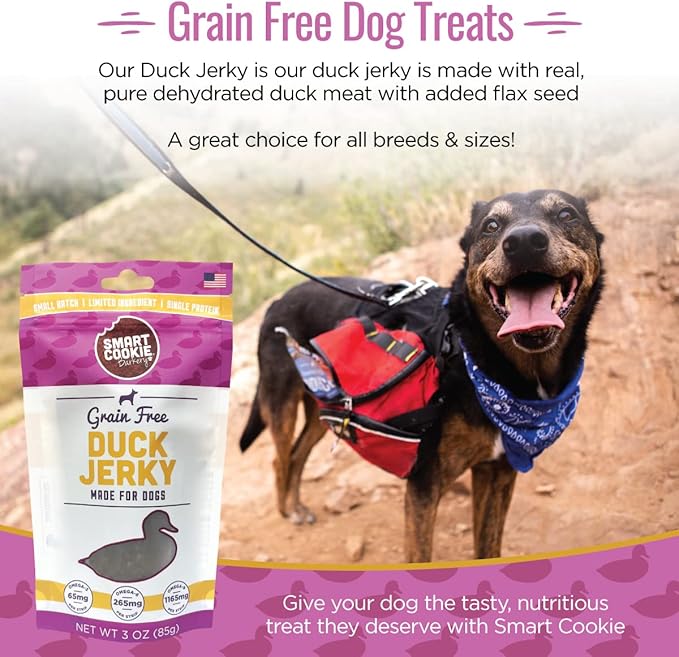 Smart Cookie Duck Jerky Dog Treats with Flax Seed, Omega Oils- Hypoallergenic Strips for Dogs and Puppies with Allergies, Sensitive Stomachs - Dehydrated, Grain Free, Made in USA - 3oz Bag, Pack of 1
