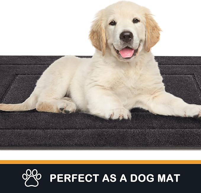PURRUGS Dirt Trapper Door Mat 32" x 47.5", Non-Slip/Skid Machine Washable Entryway Rug, Dog Door Mat, Super Absorbent Welcome Mat for Muddy Wet Shoes and Paws, Charcoal
