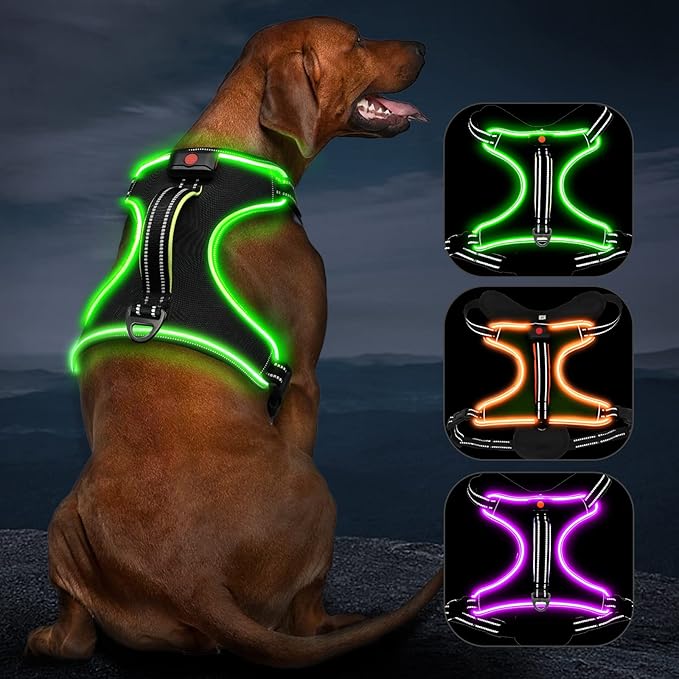 Light Up Dog Harness No Pull LED Dog Harness with Handle Vizbrite Rechargeable Lighted Dog Vest Harness for Small/Medium/Large/X-Large Size Dogs No Pull, 4 Point Adjustable Dog Harness