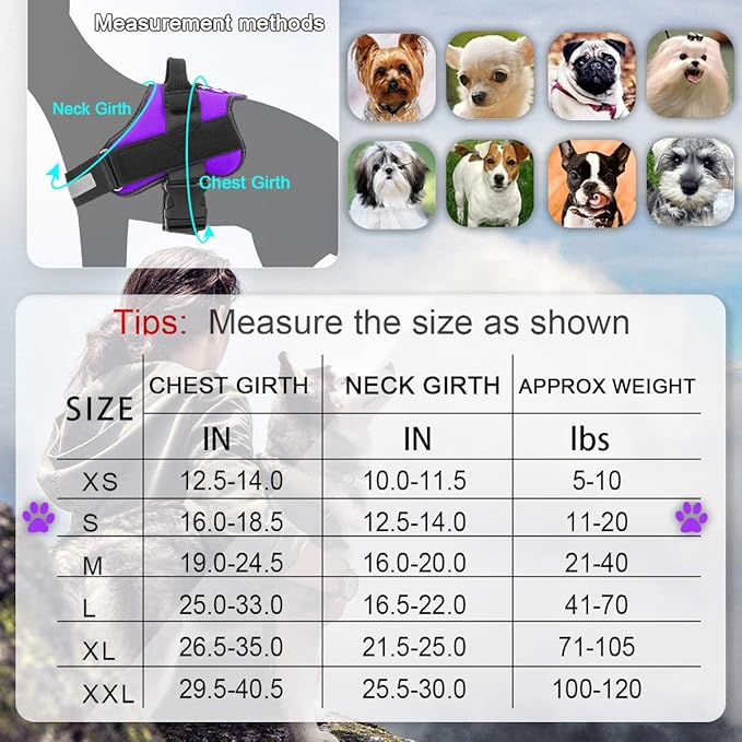 Bolux Dog Harness, No-Pull Reflective Dog Vest, Breathable Adjustable Pet Harness with Handle for Outdoor Walking - No More Pulling, Tugging or Choking (Purple, S)