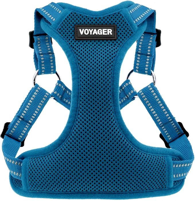 Best Pet Supplies Voyager Adjustable Dog Harness with Reflective Stripes for Walking, Jogging, Heavy-Duty Full Body No Pull Vest with Leash D-Ring, Breathable All-Weather - Harness (Turquoise), S
