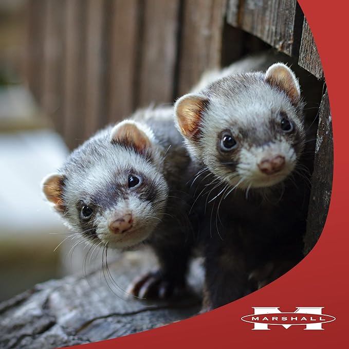 Marshall Pet Products Natural Aloe Deodorizing and Detangling Foam Leave-in Waterless Shampoo, for Ferrets and Small Animals, 5 oz