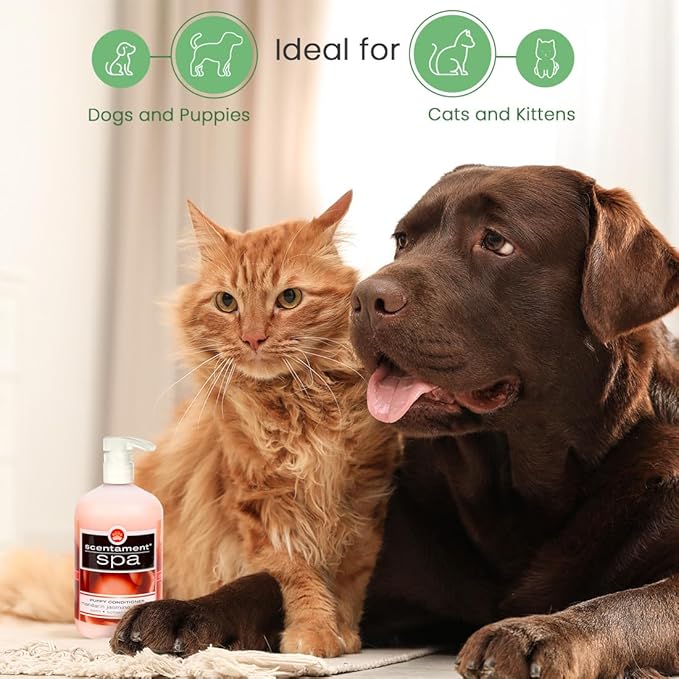 Best Shot Scentament Spa Puppy Conditioner, pH Balanced and Hypoallergenic Skin Care Product for Any Dog, Cat, Puppy, or Kitten, Mandarin Jasmine Honey, 16 Oz