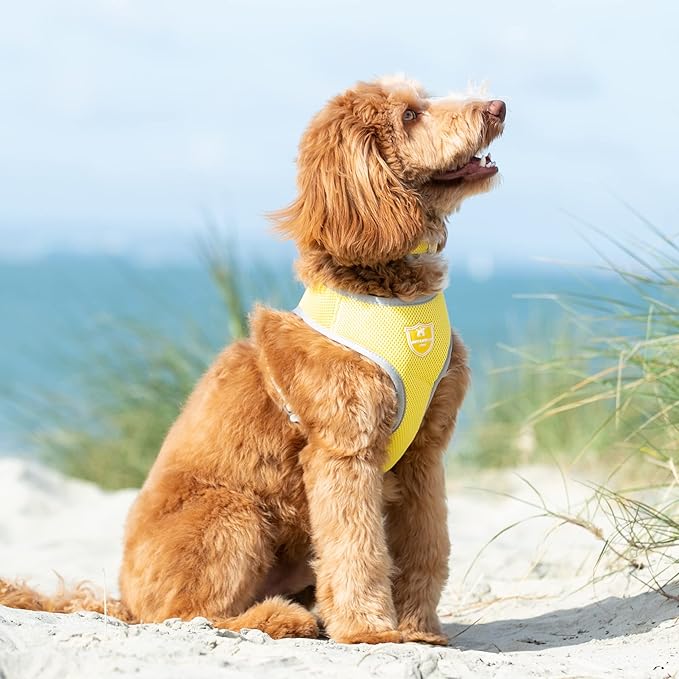 HUGO & HUDSON Dog Harness No-Pull Pet Harness Adjustable Quick Dry Mesh Padded Vest, Yellow, XS